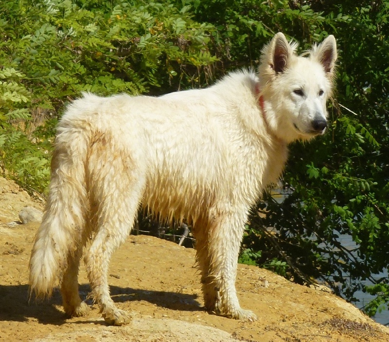 Hatika De la vallée de l'orkhon